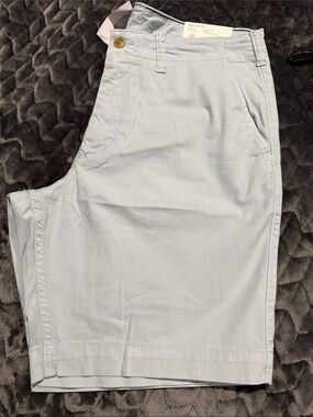 American Eagle Outfitters Light Blue Flat-Front Men's Shorts